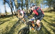 Actief in Noord-Brabant